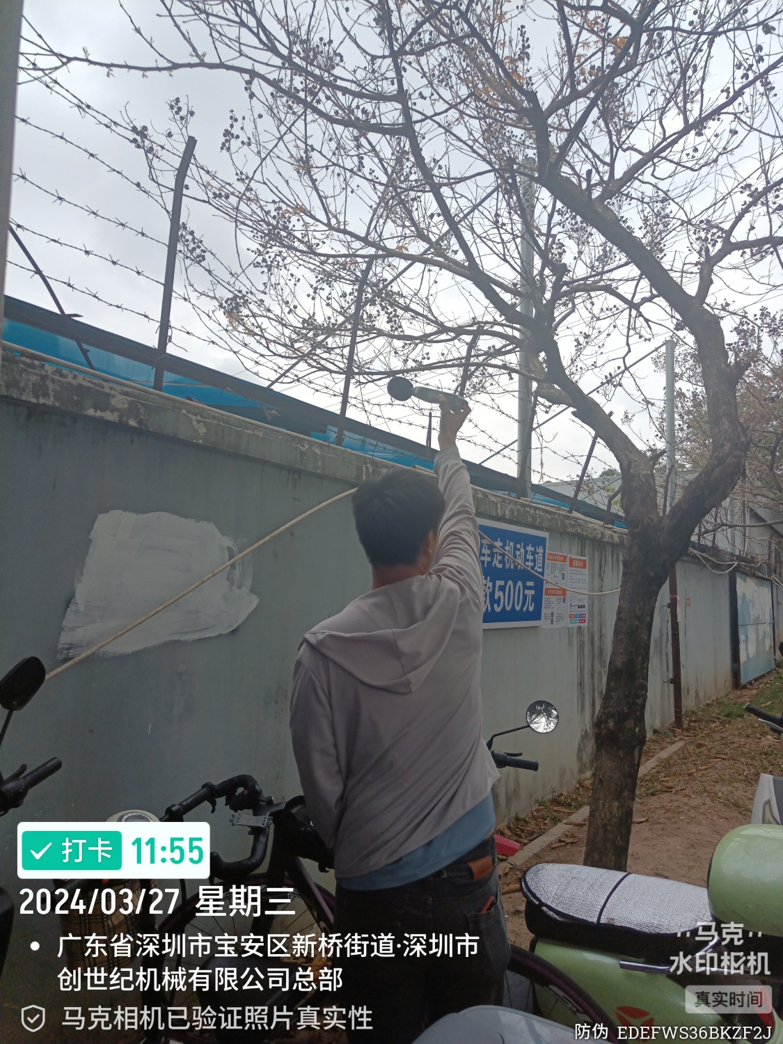 Marki_20240327_115543526.jpg