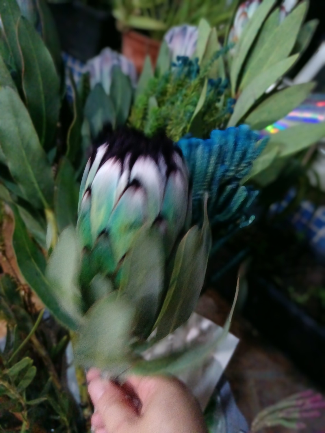 IMG_20240515_201131.jpg
