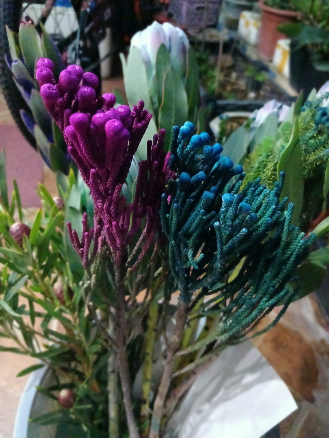 IMG_20240515_201350.jpg
