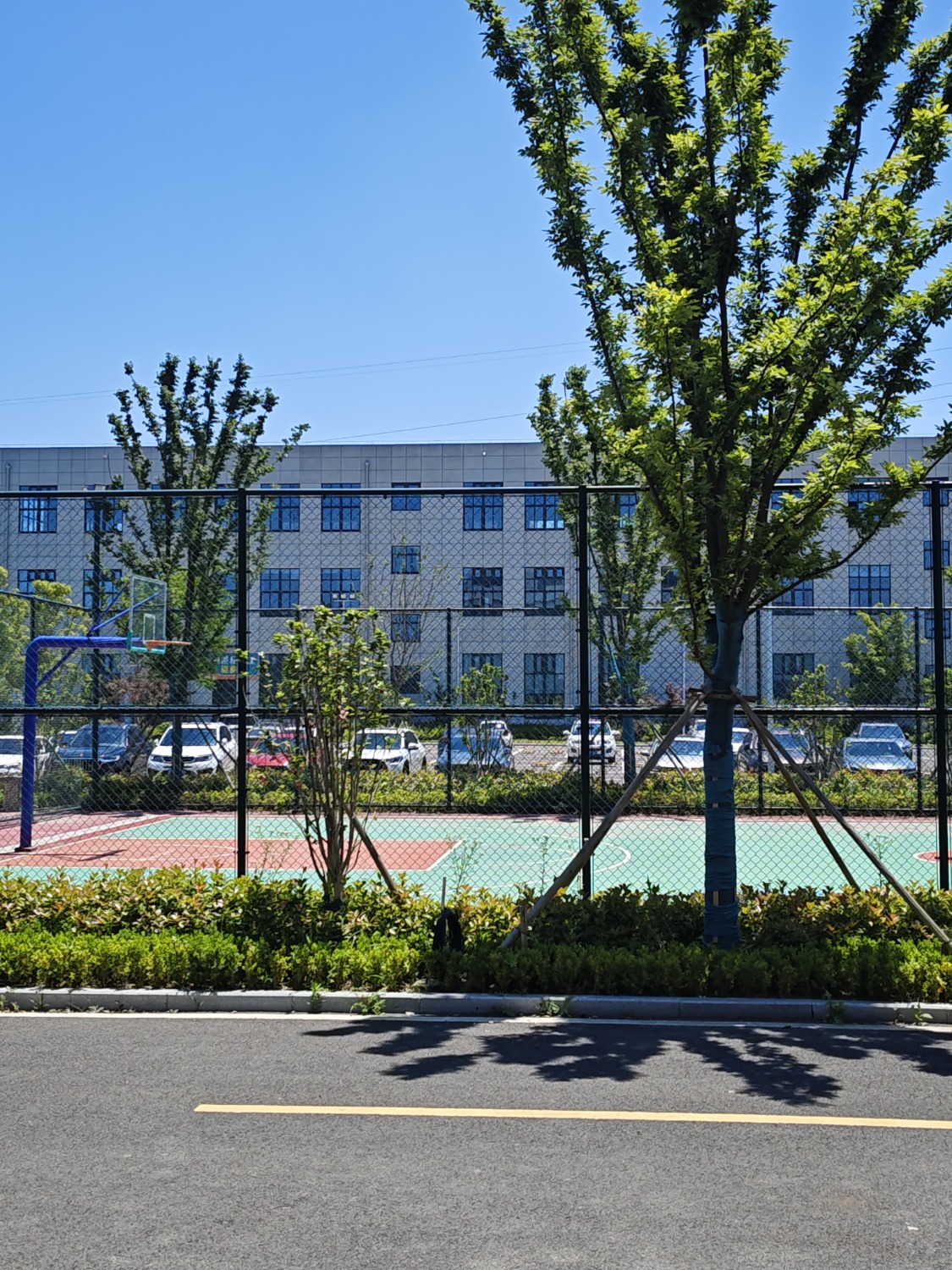 mmexport1716870875807.jpg