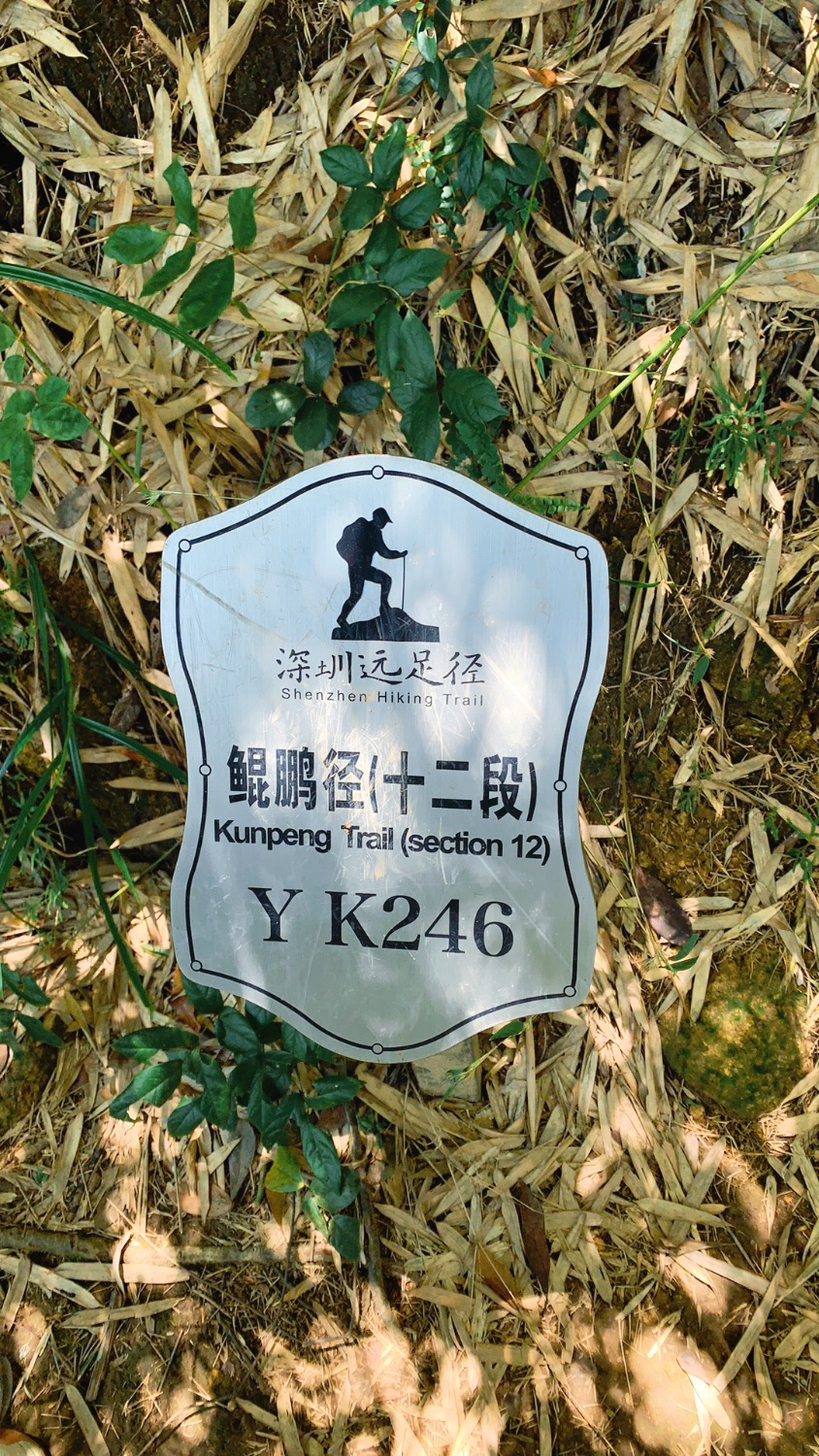 1C706074-ADF7-4D48-BB4C-8CCA3A3F490A.jpeg
