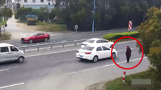 20241119_@23c80957.gif