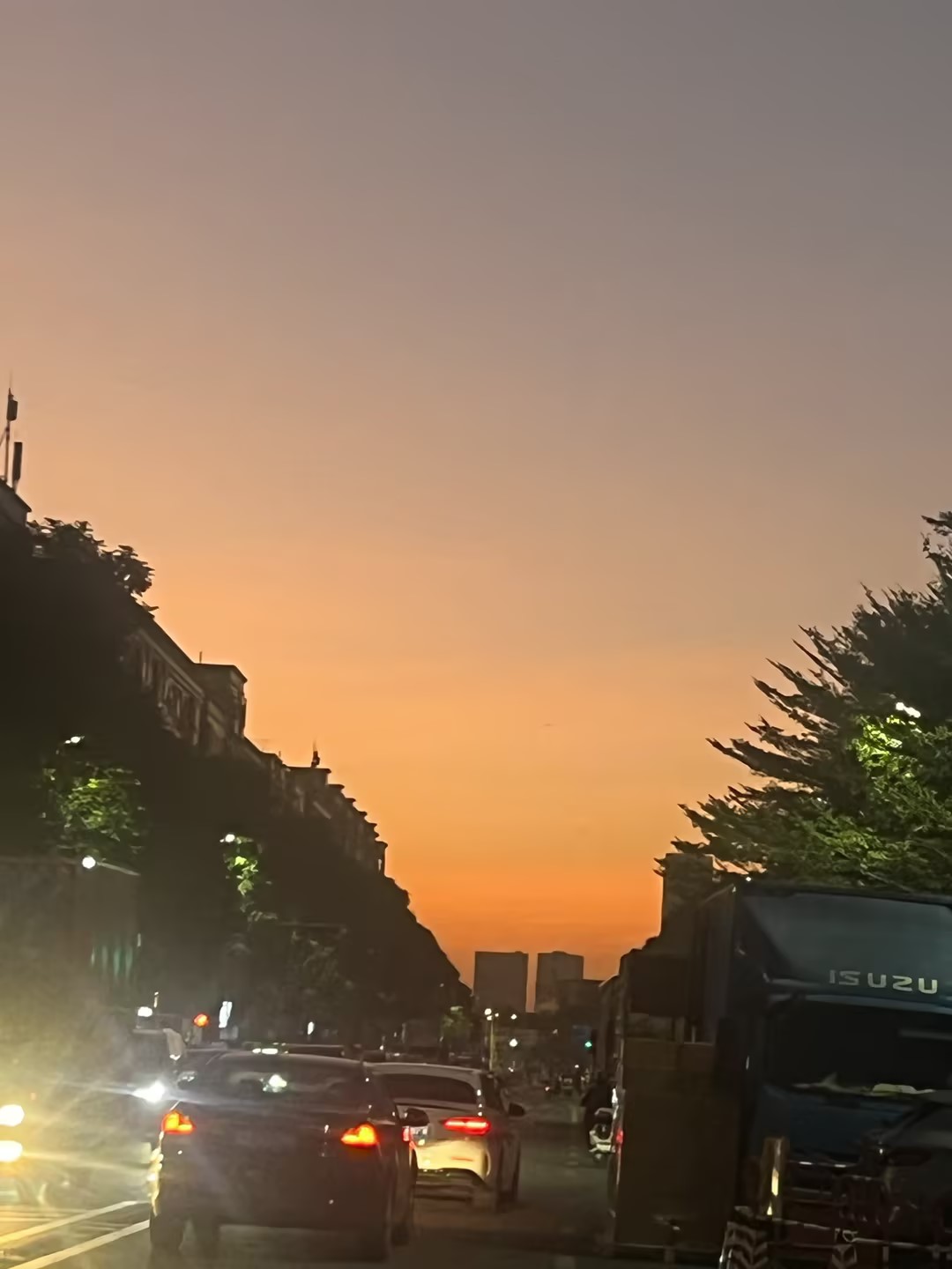 558e94d4-78c0-4f4b-b537-10c8cd189e5f.jpg