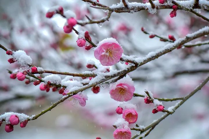 afefaabbb6f9e9204151d5704f653f0d~tplv-tt-origin-web_gif.jpeg