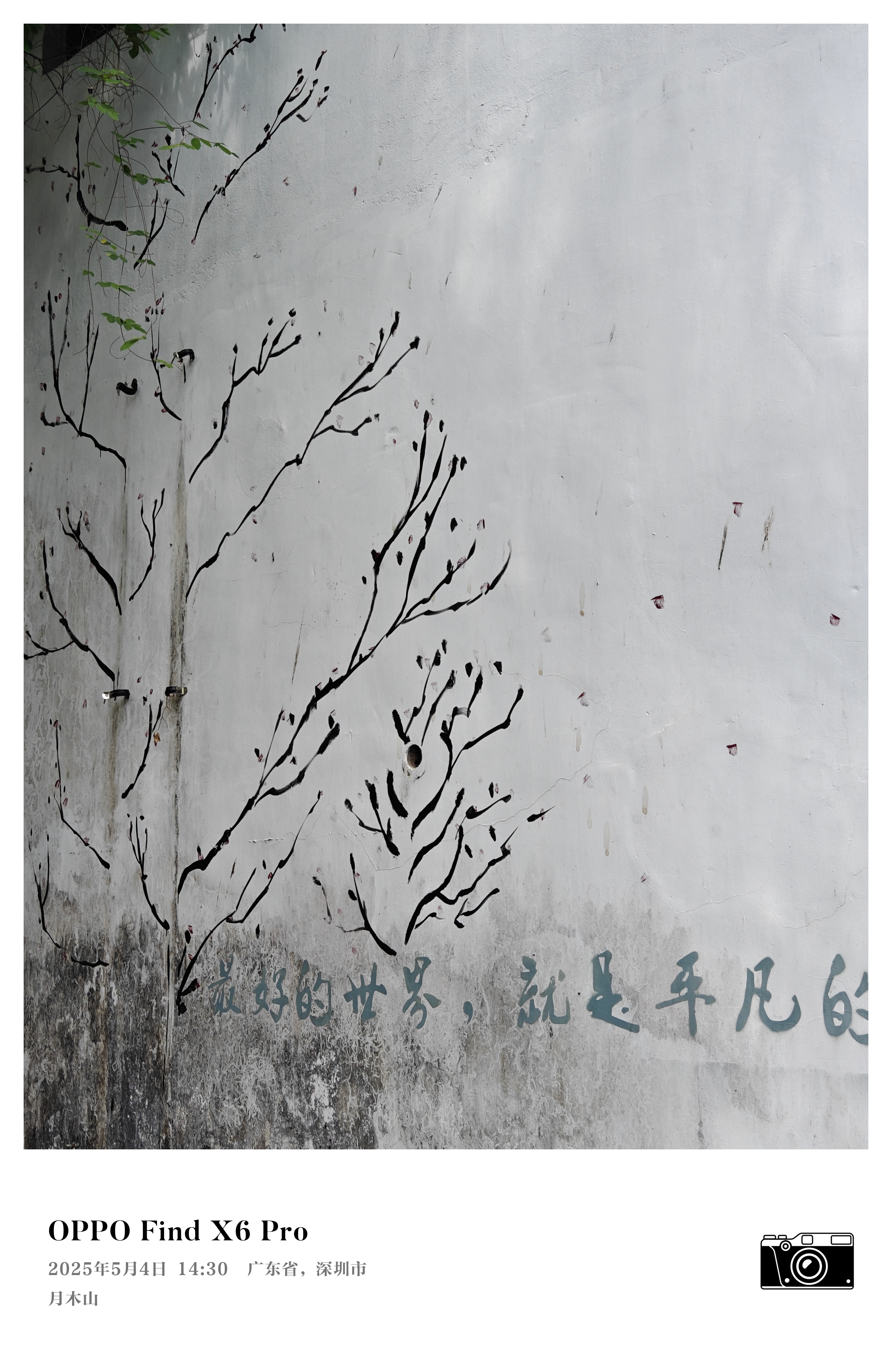5d61e54956ec9ef5ddcf637d9f7ca492_origin(1).jpg