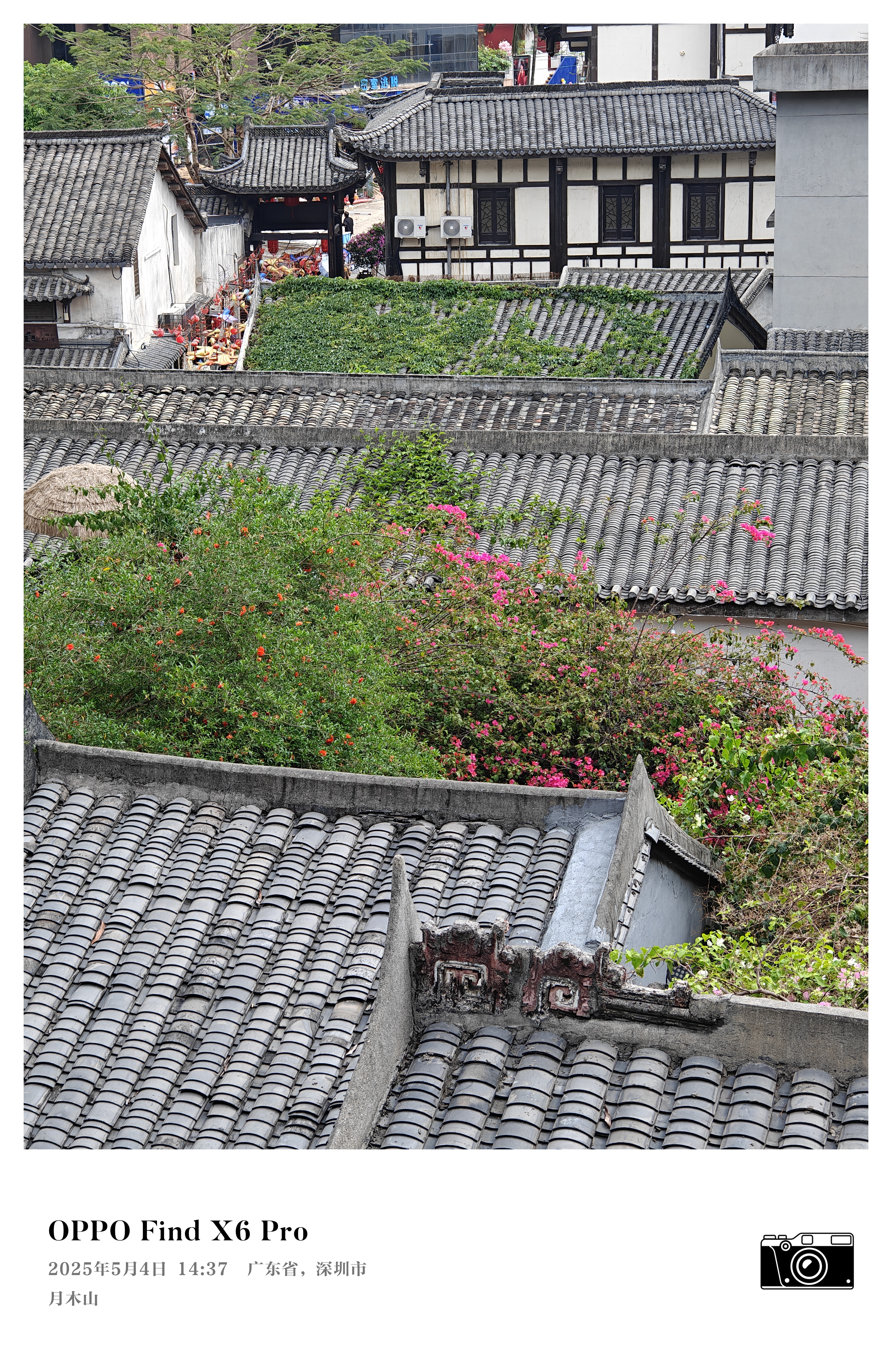 9d097bafa6168af258860743686d4c49_origin(1).jpg
